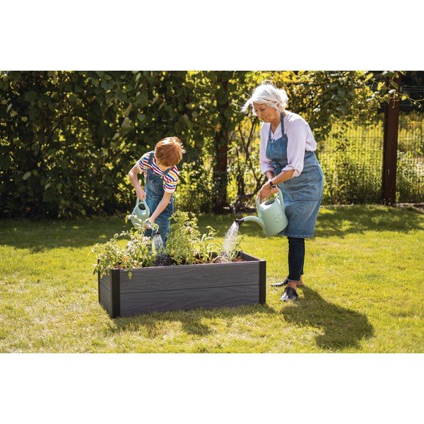 Pat ridicat de plante Maple – Keter-image-1