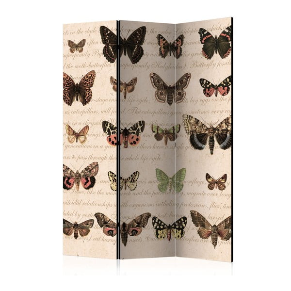 Paravan Artgeist Butterfly Collection, 135 x 172 cm