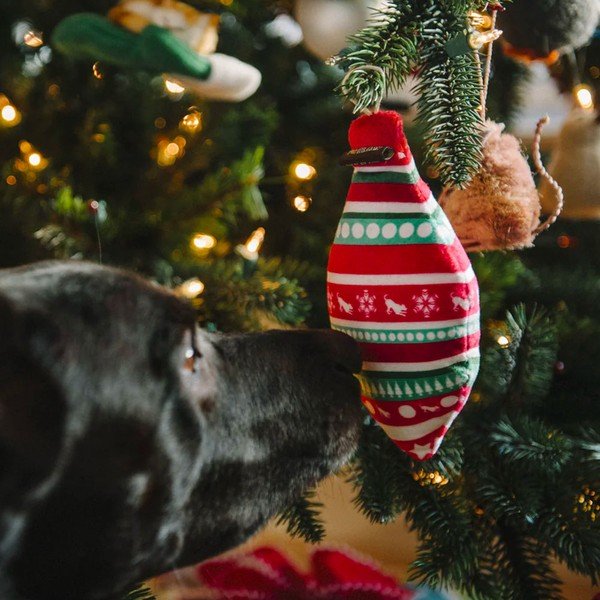 Jucărie pentru câine Peace & Joy Christmas - P.L.A.Y.-image-1