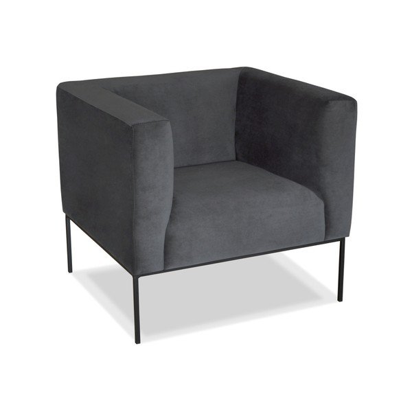 Fotoliu Windsor  & Co. Sofas Neptune, gri -image-3