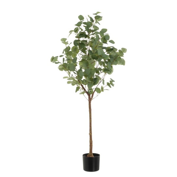 Plantă artificială Eucalyptus – Casa Selección