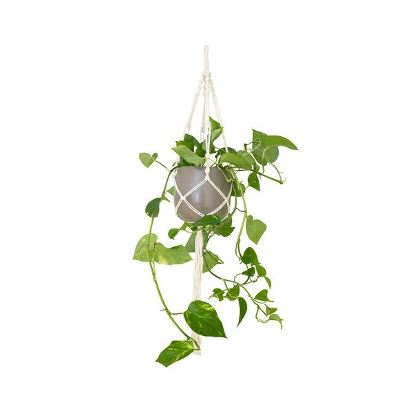 Suport suspendat pentru ghiveci de flori din material textil ø 13 cm (înălțime 100 cm) Macramé – Artevasi