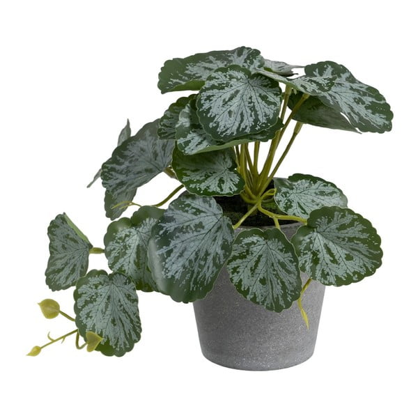 Plantă artificială (înălțime 21,5 cm) Saxifraga – Ixia