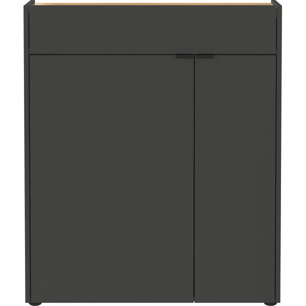 Dulap gri antracit 82x102x22 cm Ameca – Germania-image-1