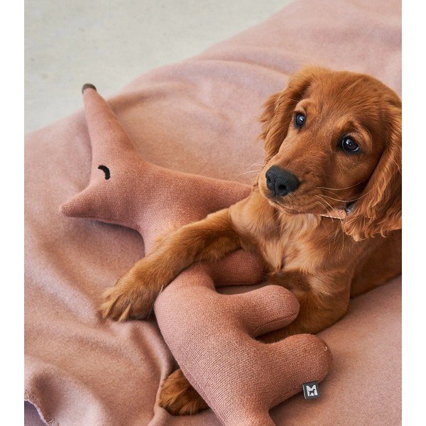 Jucărie pentru câine Bosco Rabbit – MiaCara-image-3