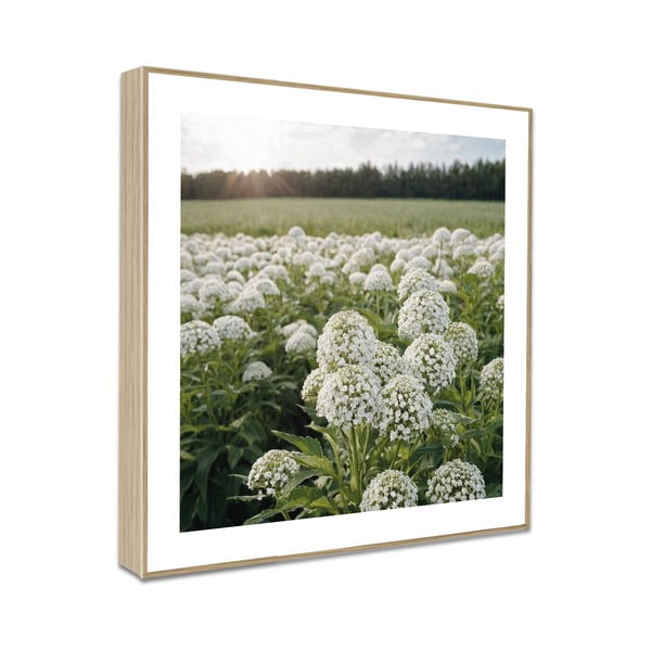 Tablouri 4 buc. 30x30 cm Sunrise Hike – knor-image-4