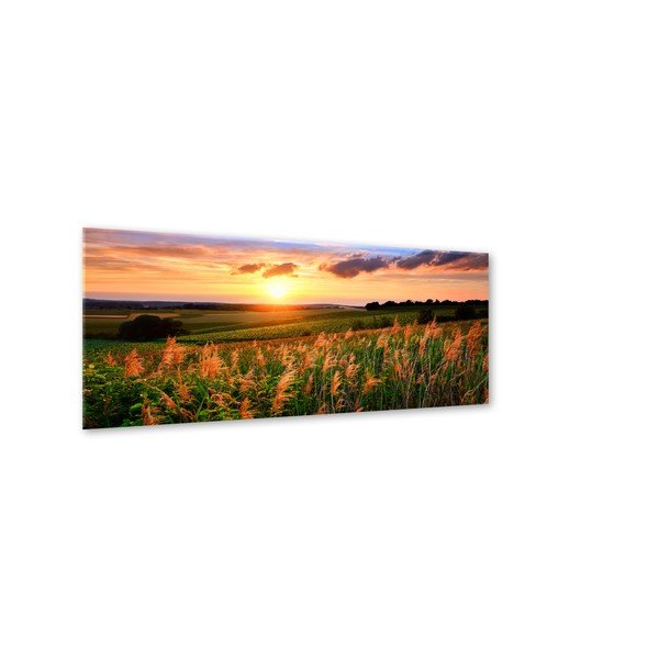 Tablou Styler Glas Sunset Meadow, 50 x 125 cm-image-1