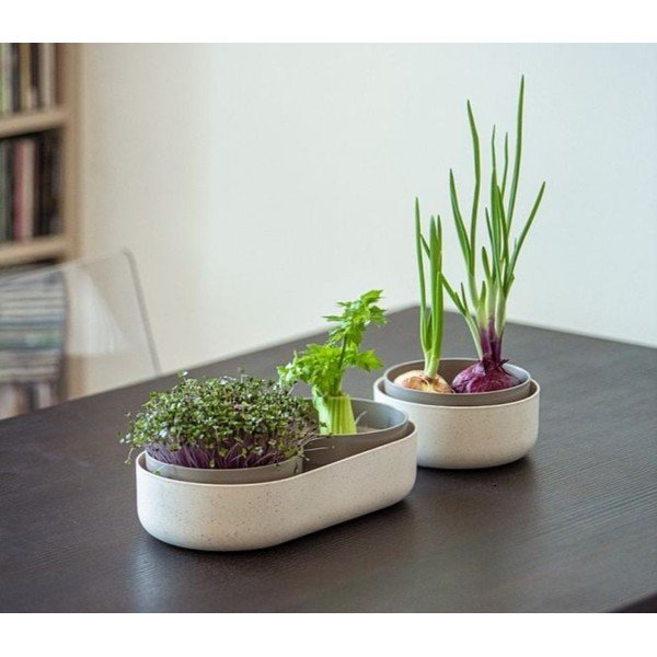 Ghiveci din plastic Microgreens + Regrow – Plastia-image-1