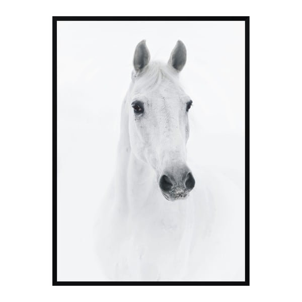 Poster Nord & Co Horse, 30 x 40 cm