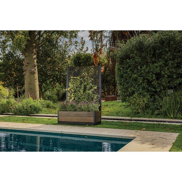 Pat ridicat de plante Deco – Keter-image-2