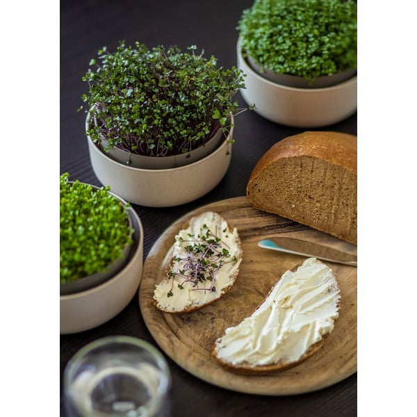 Ghiveci din plastic Microgreens + Regrow – Plastia-image-3