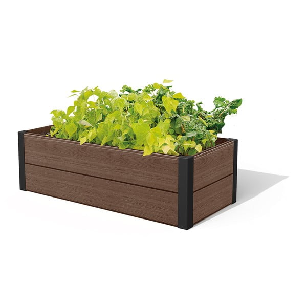 Pat ridicat de plante Maple – Keter-image-2