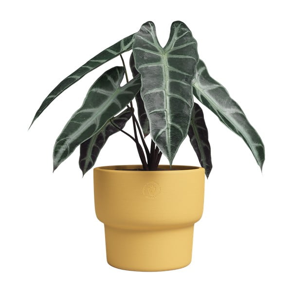 Ghiveci din ceramică făcut manual ø 17 cm Echo – Artevasi-image-3