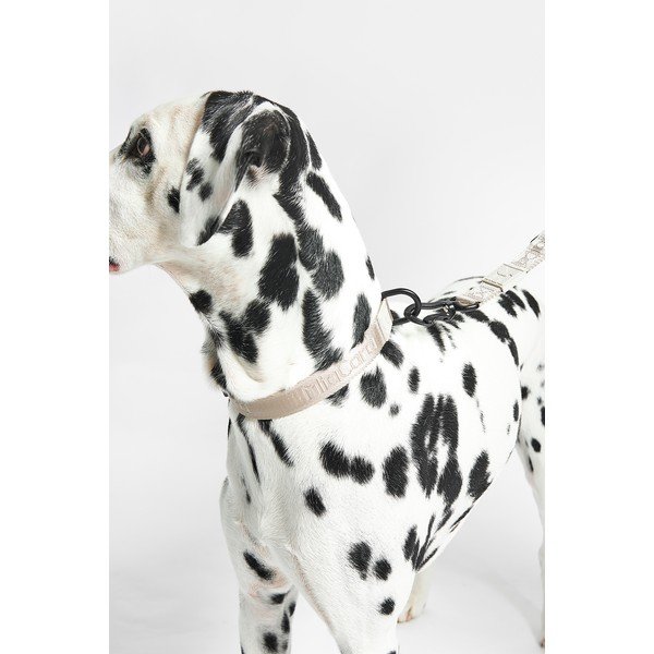 Zgardă bej L/XL lungime 40 cm Modena Greige L/XL – MiaCara-image-1