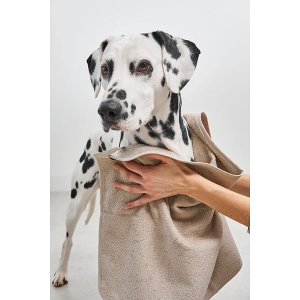 Prosop pentru animale Secco Midnight M/L – MiaCara-image-2