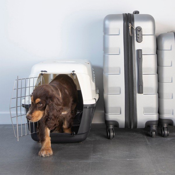 Cușcă / geantă pentru transport animale de companie pentru animale de companie 38x58 cm – Love Story-image-1