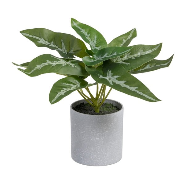 Plantă artificială (înălțime 21 cm) Syngonium – Ixia