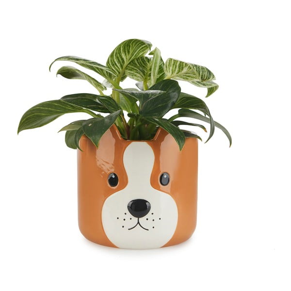 Ghiveci din ceramică ø 13,5 cm Woof – Balvi-image-1