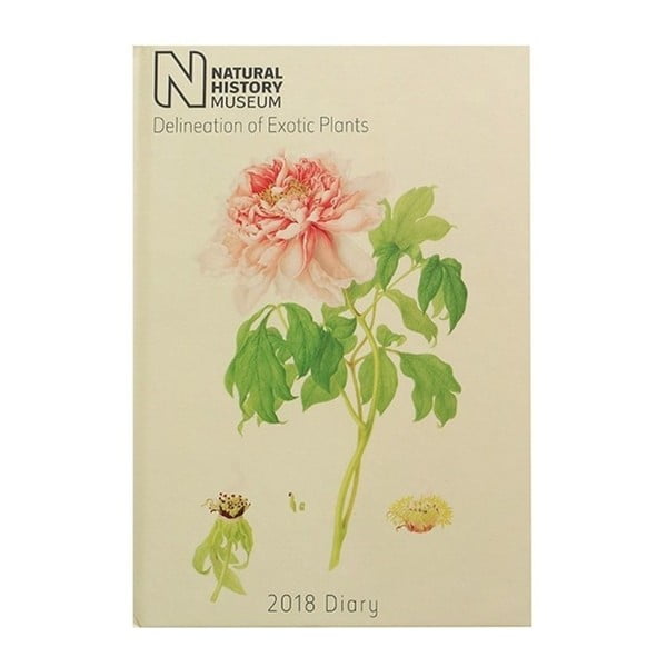 Jurnal pentru anul 2018 Portico Designs Natural History Museum Botanical, A5