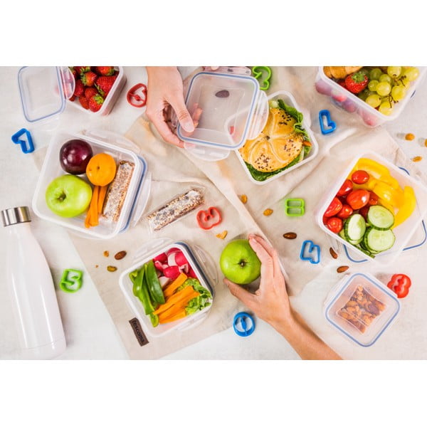 Caserole 5 buc. pentru mâncare Freshbox – Tescoma-image-1