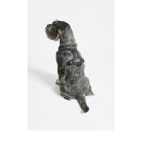 Ham gri închis S lungime 30 cm Modena Asphalt S – MiaCara-image-2