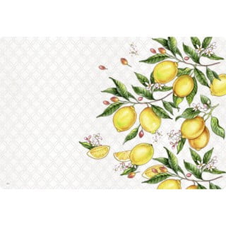 Suport pentru farfurii din plastic 43x29 cm Citrons - IHR