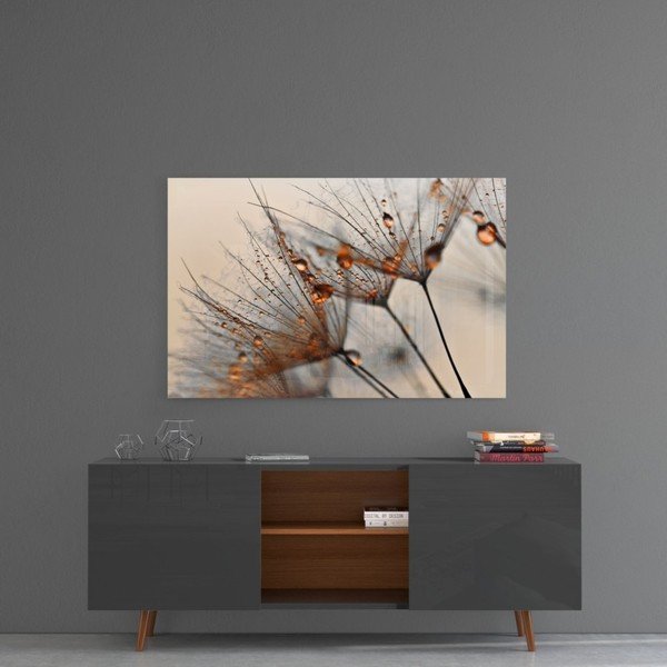Tablou din sticlă Insigne Cinnamon Dandelion, 72 x 46 cm-image-1