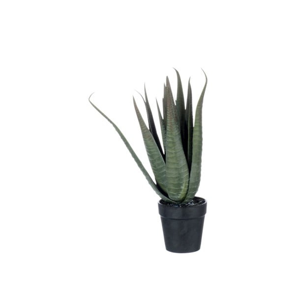 Plantă decorativă J-Line Aloe Vera, înălțime 36 cm