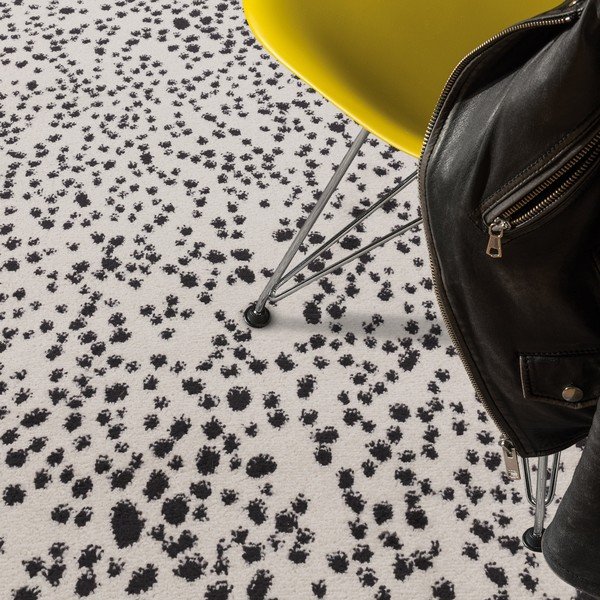 Covor negru-alb 160x230 cm Muse – Asiatic Carpets-image-1