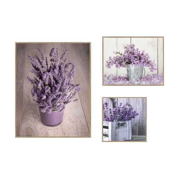 Tablouri 3 buc. 40x50 cm Purple Flowers – knor