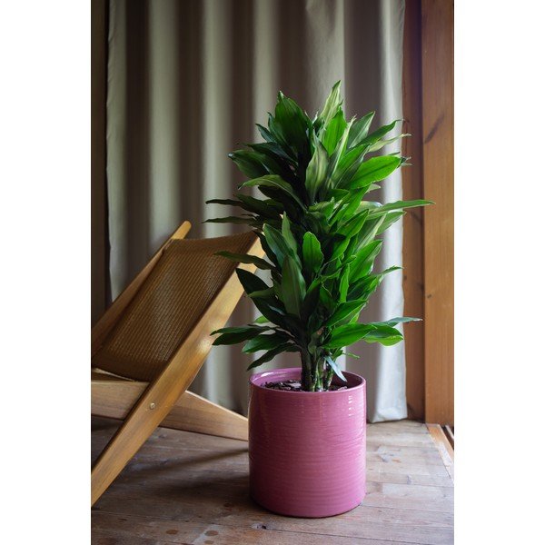 Ghiveci decorativ din ceramică handmade ø 25 cm Fortuna – Artevasi-image-1