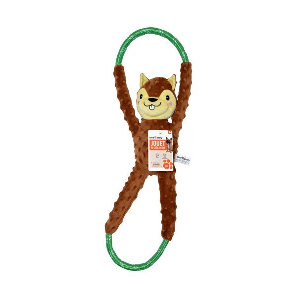 Jucărie pentru câine Squirrel – Love Story-image-1