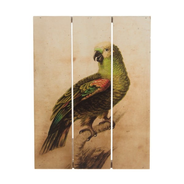 Imagine pe lemn, Dijk Natural Collections Parrot, 19x25 cm