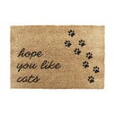 Covoraș de intrare din fibre de nucă de cocos 40x60 cm Hope You Like Cats – Artsy Doormats
