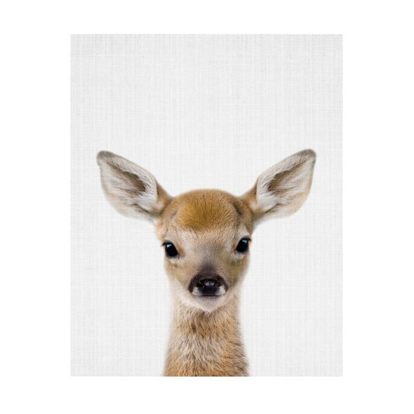 Poster Blue-Shaker Baby Animals Deer, 30 x 40 cm
