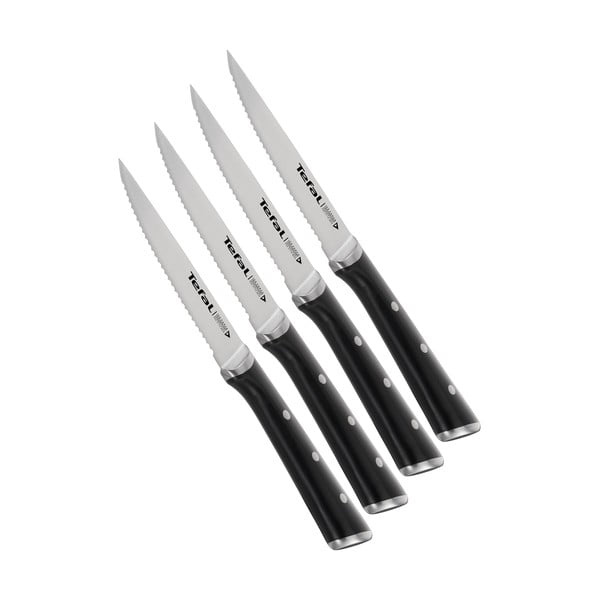 Set de cuțite de friptură din oțel inoxidabil 4 buc Ice Force - Tefal