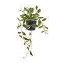Plantă artificială (înălțime 33 cm) Hoya Carnosa – House Nordic