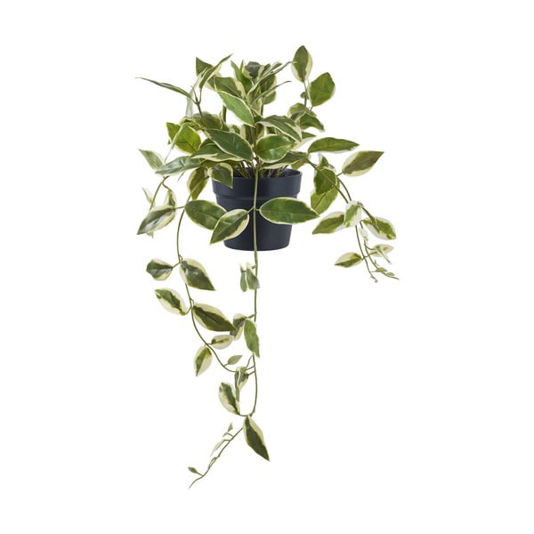 Plantă artificială (înălțime 33 cm) Hoya Carnosa – House Nordic