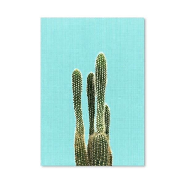 Poster Cactus On Blue