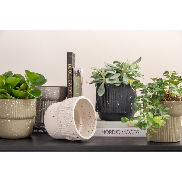 Ghiveci de beton bej deschis ø 14 cm Speckles - PT LIVING-image-1