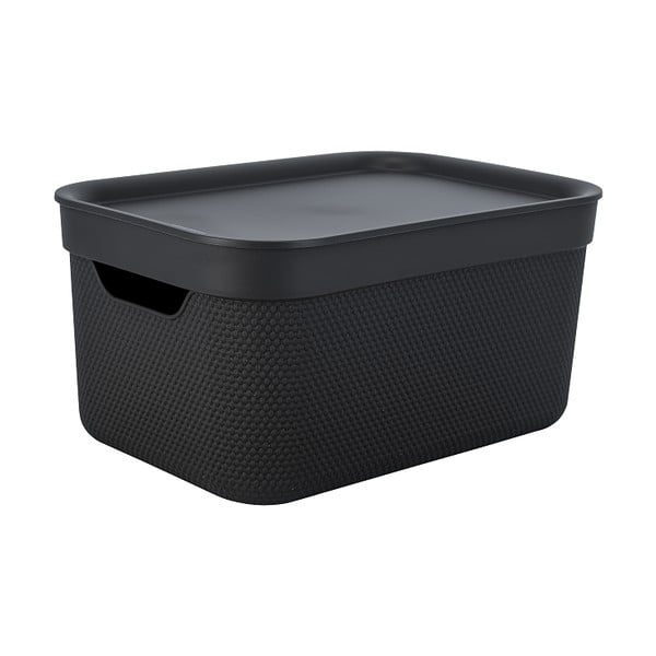 Cutie de depozitare din plastic cu capac Deco  - Rotho-image-2