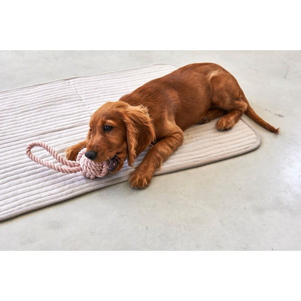 Pătură gri pentru câini din bumbac 60x80 cm Onda Greige S – MiaCara-image-3