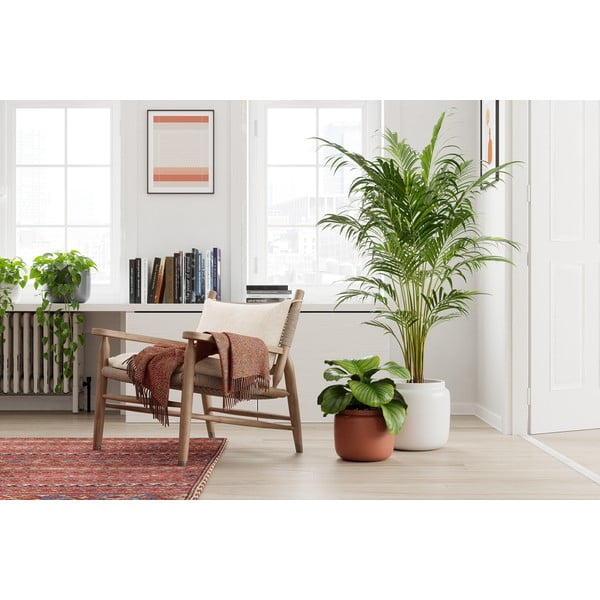 Ghiveci din ceramică făcut manual ø 20 cm Astrea – Artevasi-image-3