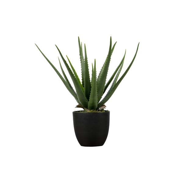 Aloe vera artificială WOOOD, înălțime 55 cm