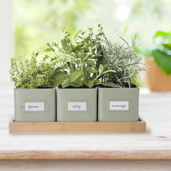 Ghivece 3 buc. din metal pentru ierburi aromatice Greenish – Orion-image-1