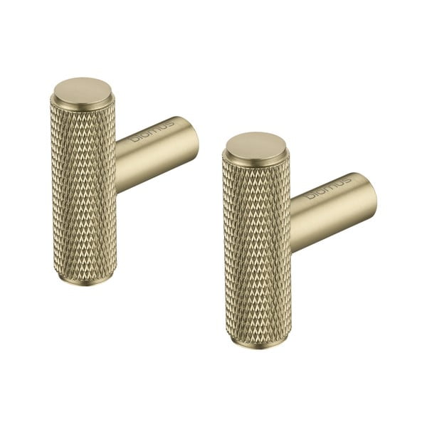 Cârlige alămii 2 buc. de montat pe perete din metal Rof – Blomus