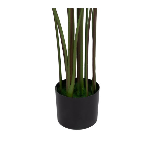 Plantă artificială (înălțime 150 cm) Calathea – Ixia-image-1