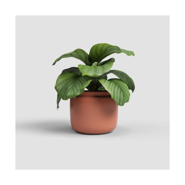 Ghiveci din ceramică făcut manual ø 20 cm Astrea – Artevasi-image-1