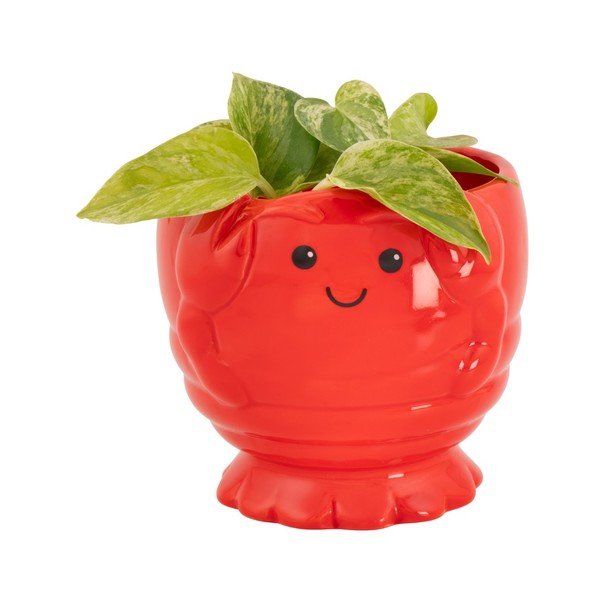 Ghiveci decorativ din ceramică ø 10 cm Lobster – Sass & Belle-image-2