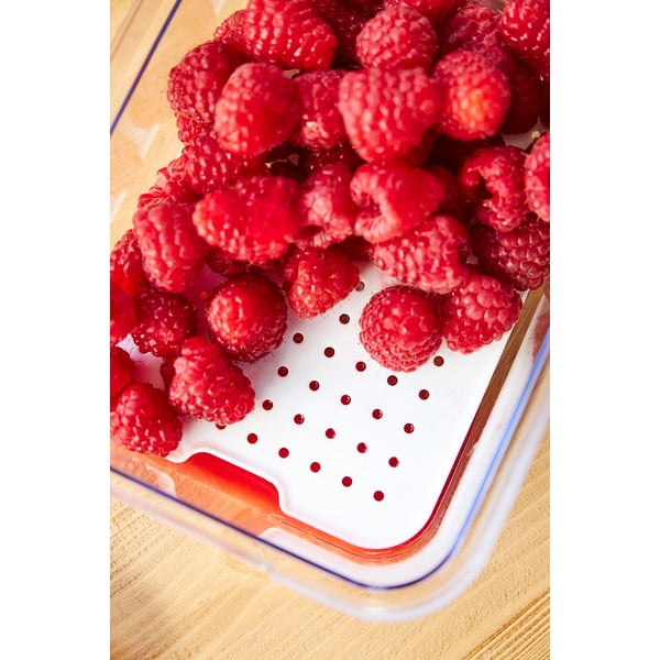 Organizator de frigider din plastic Cauma – Rotho-image-3